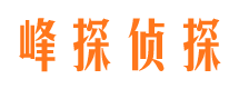 宣恩市场调查